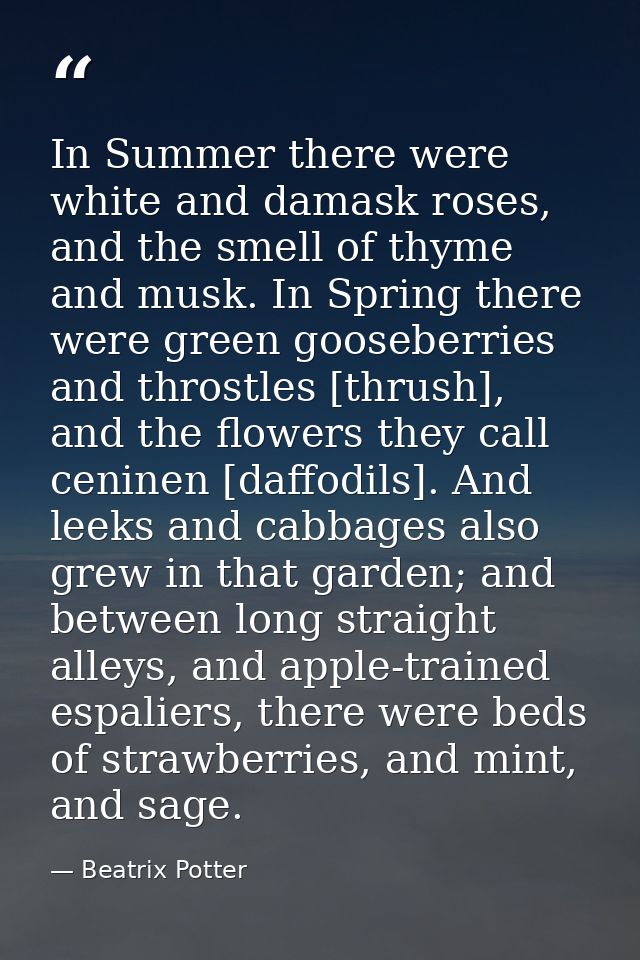 In Summer there were white and damask roses, and the smell of thyme and musk. In Spring there were green gooseberries an — Beatrix Potter