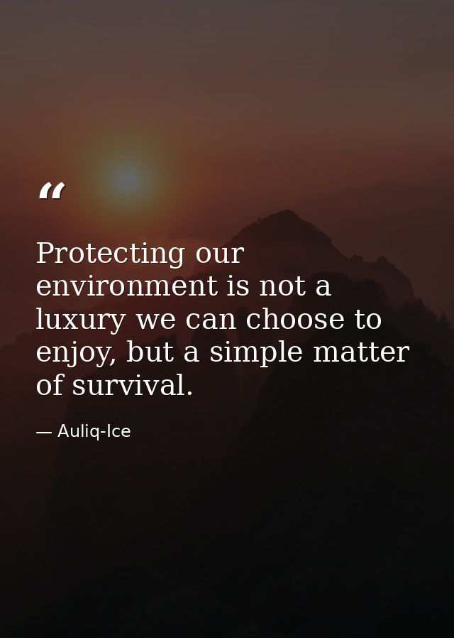 Protecting our environment is not a luxury we can choose to enjoy, but a simple matter of survival. — Auliq-Ice