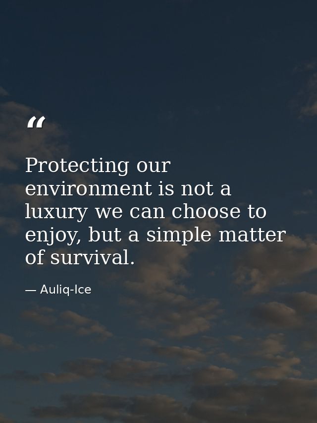 Protecting our environment is not a luxury we can choose to enjoy, but a simple matter of survival. — Auliq-Ice