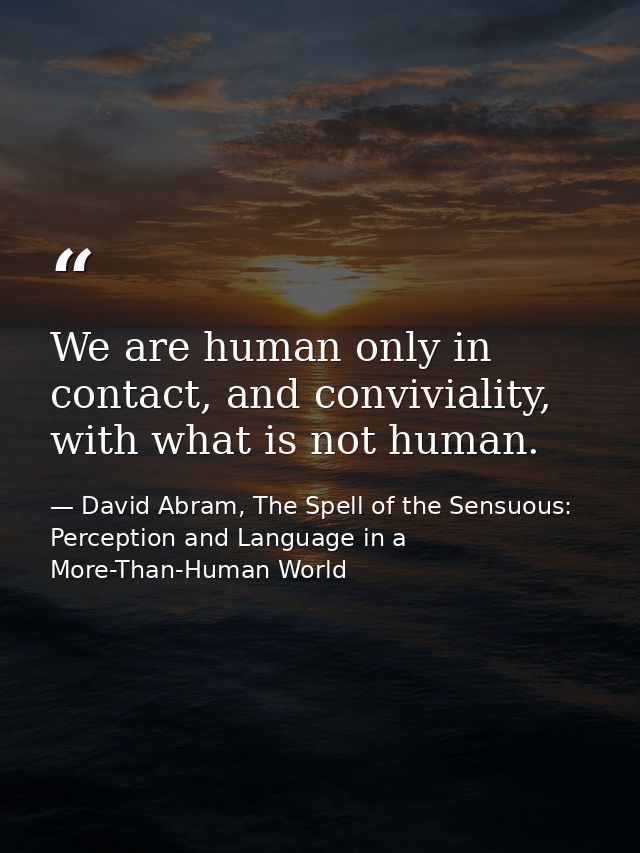 We are human only in contact, and conviviality, with what is not human. — David Abram, The Spell of the Sensuous: Perception and Language in a More-Than-Human World
