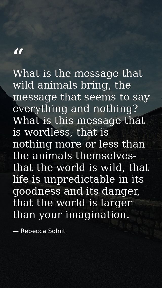 What is the message that wild animals bring, the message that seems to say everything and nothing? What is this message  — Rebecca Solnit