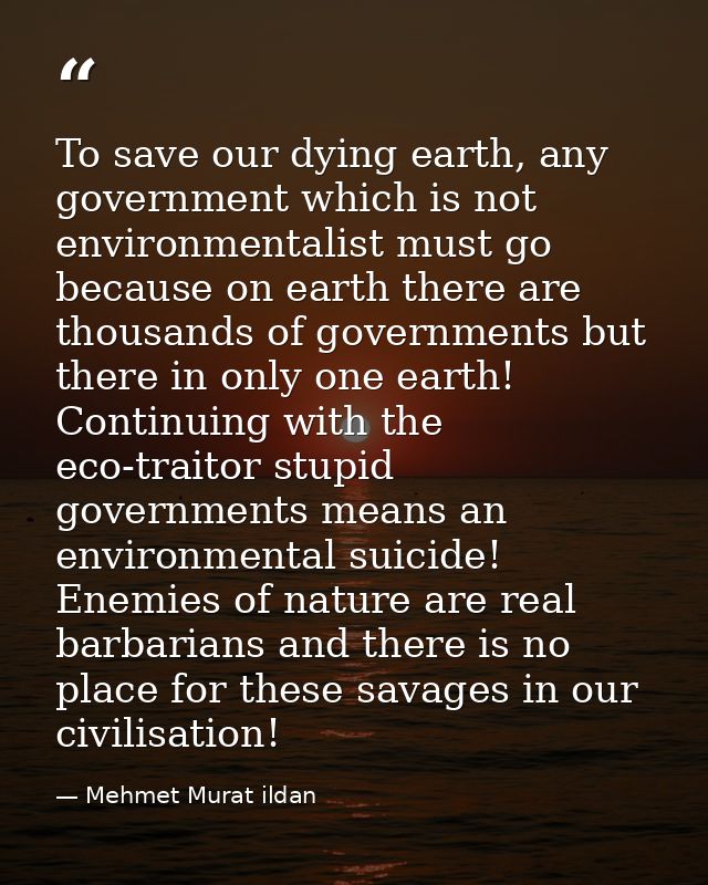 To save our dying earth, any government which is not environmentalist must go because on earth there are thousands of go — Mehmet Murat ildan