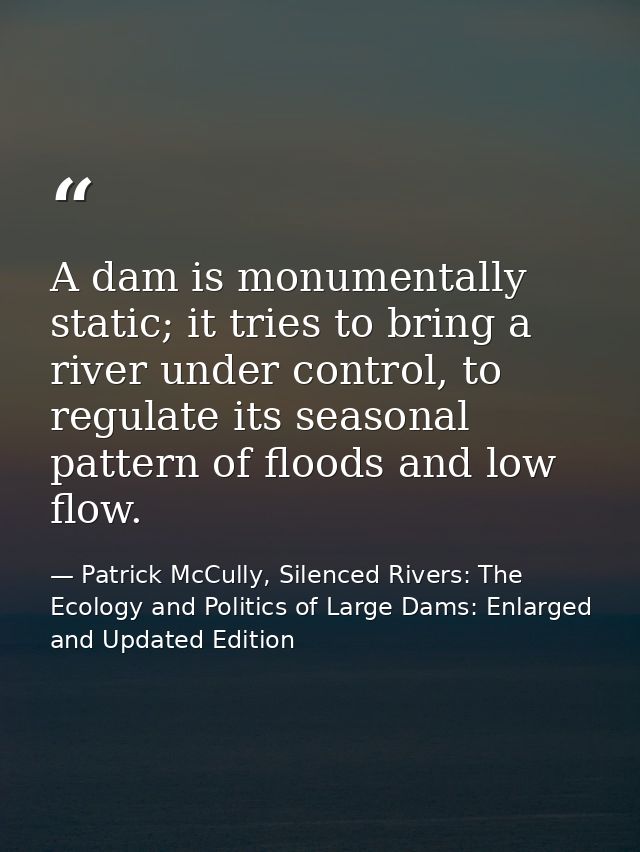A dam is monumentally static; it tries to bring a river under control, to regulate its seasonal pattern of floods and lo — Patrick McCully, Silenced Rivers: The Ecology and Politics of Large Dams: Enlarged and Updated Edition
