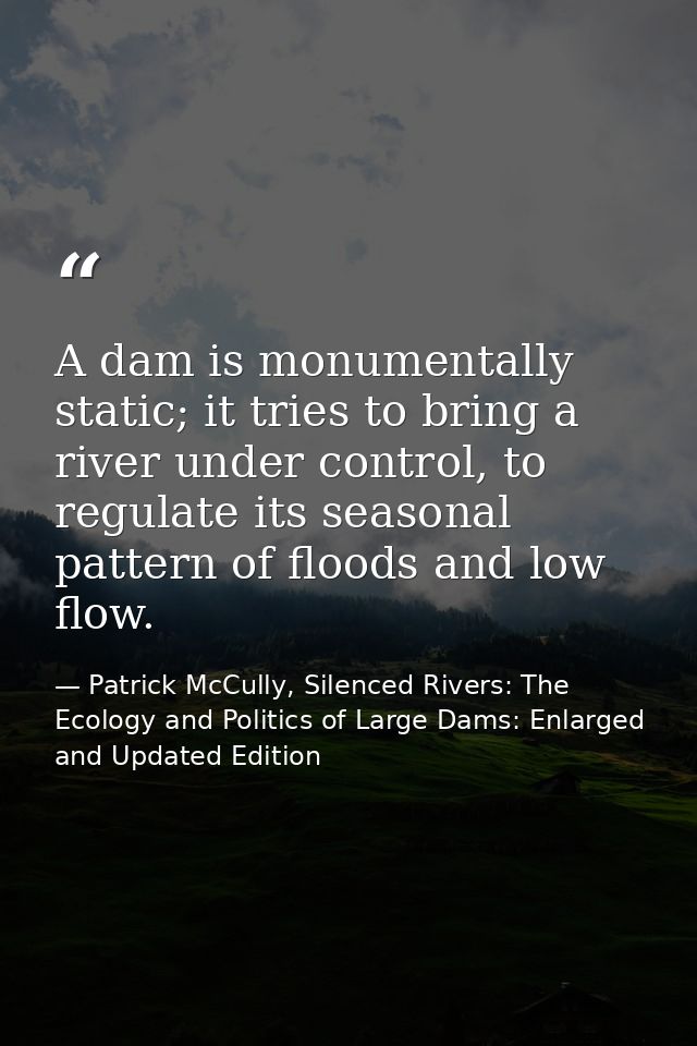 A dam is monumentally static; it tries to bring a river under control, to regulate its seasonal pattern of floods and lo — Patrick McCully, Silenced Rivers: The Ecology and Politics of Large Dams: Enlarged and Updated Edition
