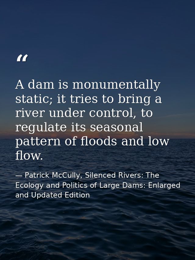 A dam is monumentally static; it tries to bring a river under control, to regulate its seasonal pattern of floods and lo — Patrick McCully, Silenced Rivers: The Ecology and Politics of Large Dams: Enlarged and Updated Edition