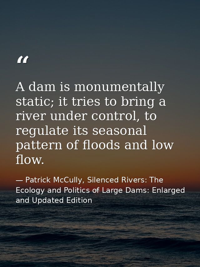 A dam is monumentally static; it tries to bring a river under control, to regulate its seasonal pattern of floods and lo — Patrick McCully, Silenced Rivers: The Ecology and Politics of Large Dams: Enlarged and Updated Edition
