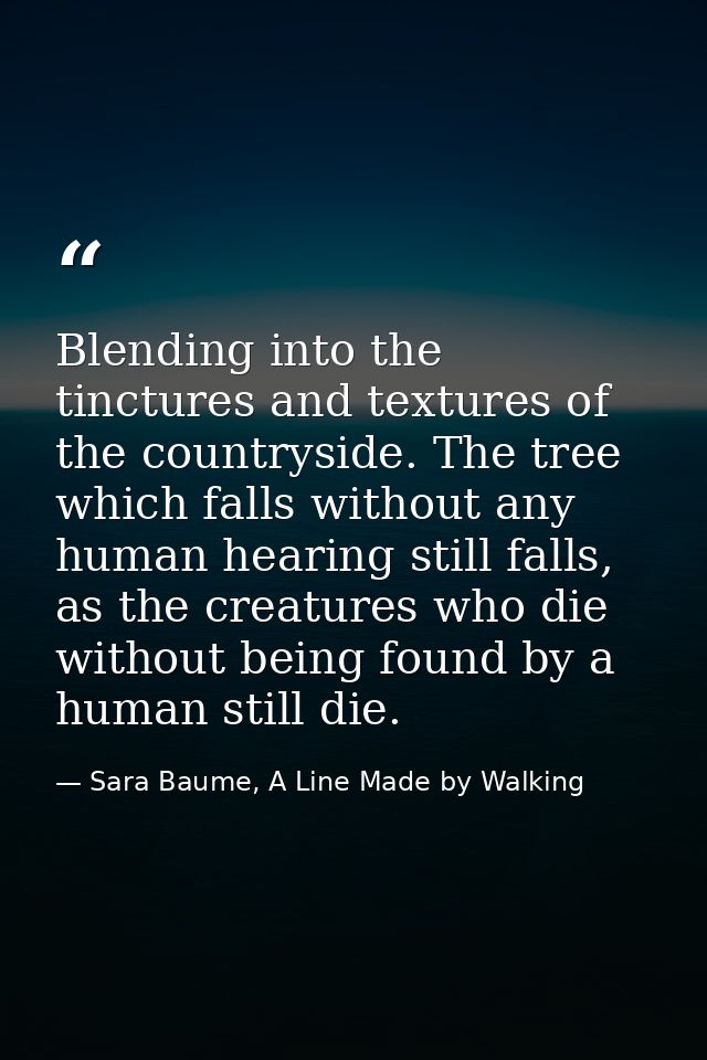 Blending into the tinctures and textures of the countryside. The tree which falls without any human hearing still falls, — Sara Baume, A Line Made by Walking