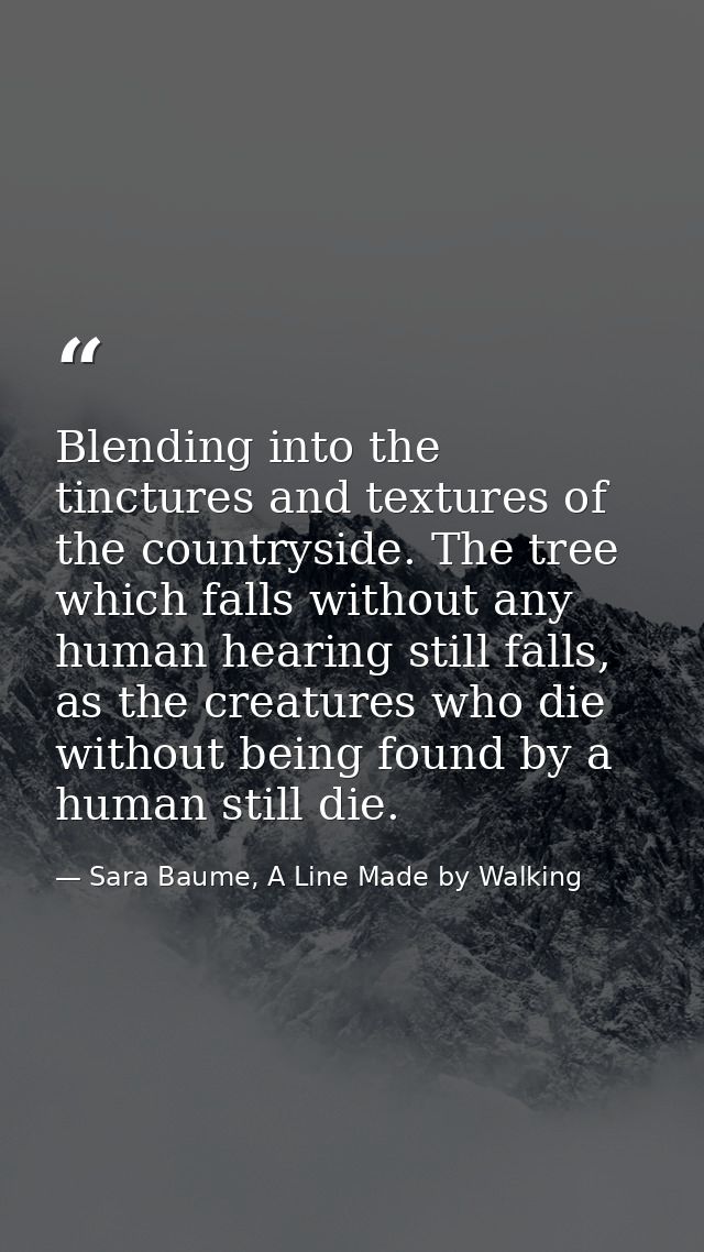 Blending into the tinctures and textures of the countryside. The tree which falls without any human hearing still falls, — Sara Baume, A Line Made by Walking