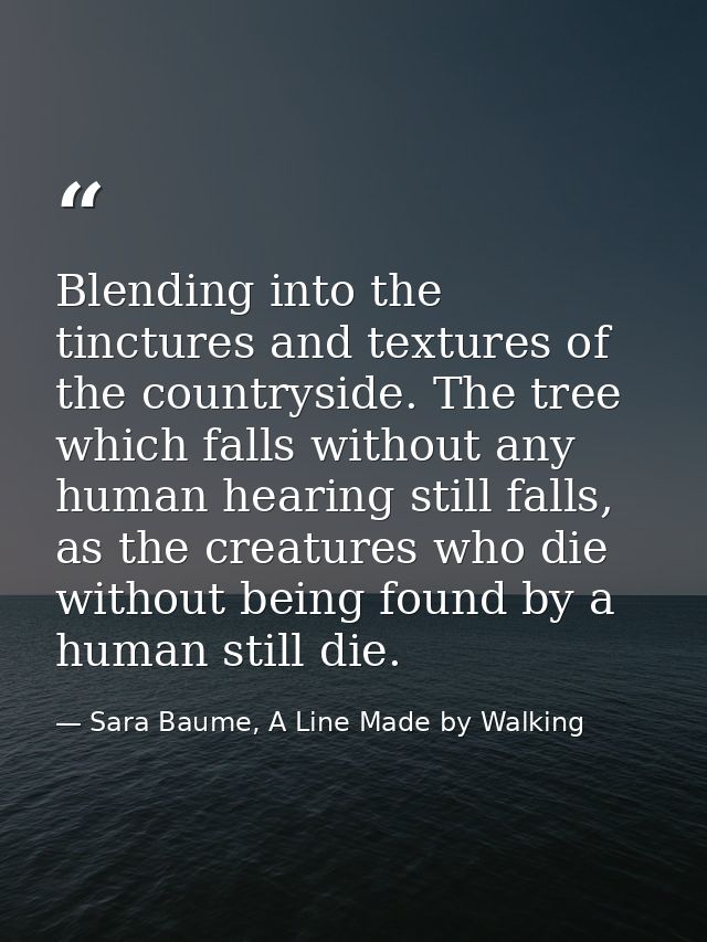 Blending into the tinctures and textures of the countryside. The tree which falls without any human hearing still falls, — Sara Baume, A Line Made by Walking