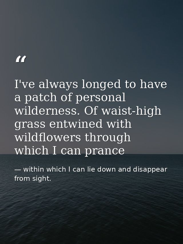 I've always longed to have a patch of personal wilderness. Of waist-high grass entwined with wildflowers through which I — within which I can lie down and disappear from sight.