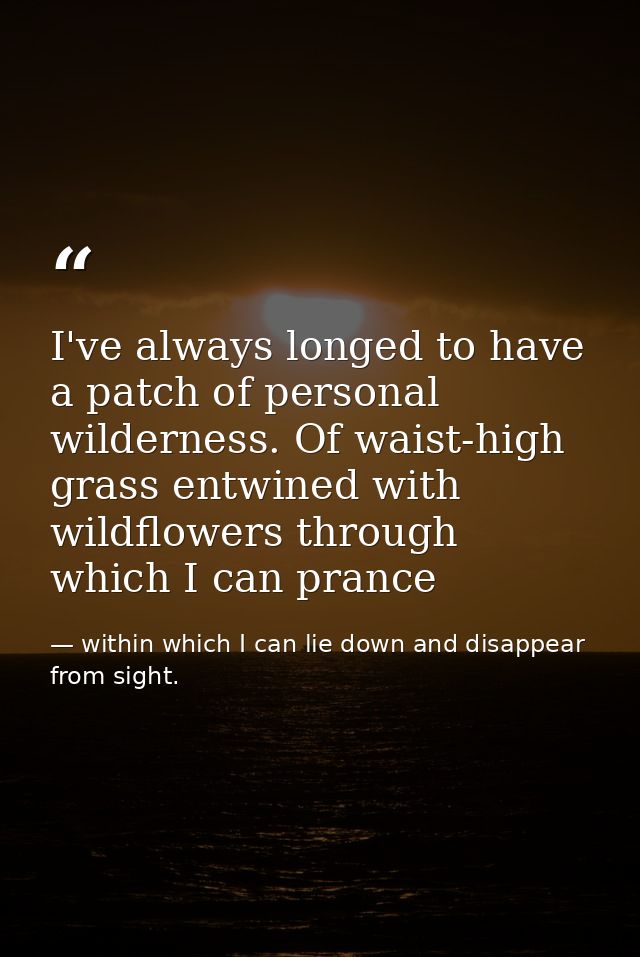 I've always longed to have a patch of personal wilderness. Of waist-high grass entwined with wildflowers through which I — within which I can lie down and disappear from sight.