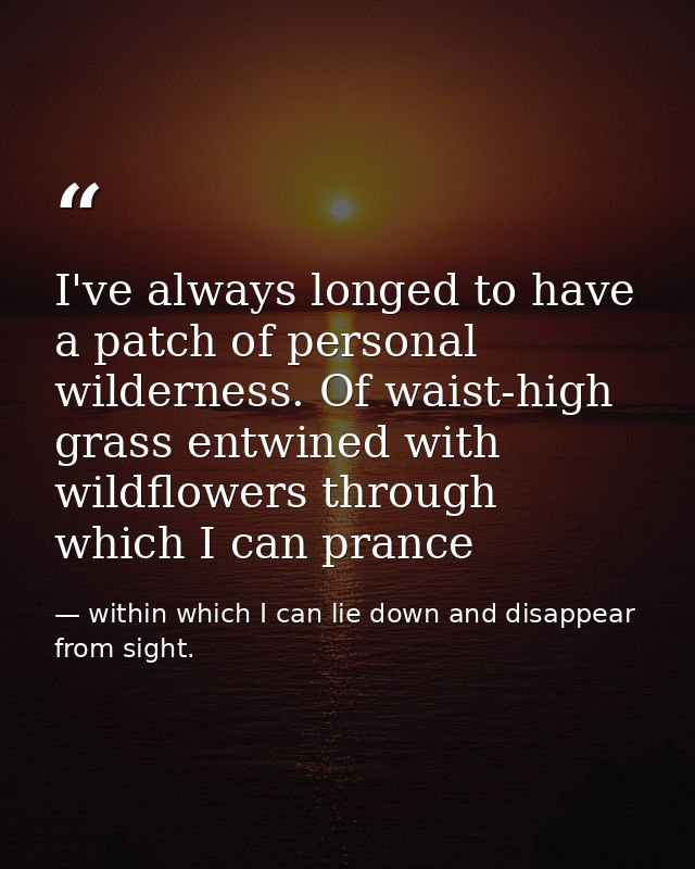 I've always longed to have a patch of personal wilderness. Of waist-high grass entwined with wildflowers through which I — within which I can lie down and disappear from sight.