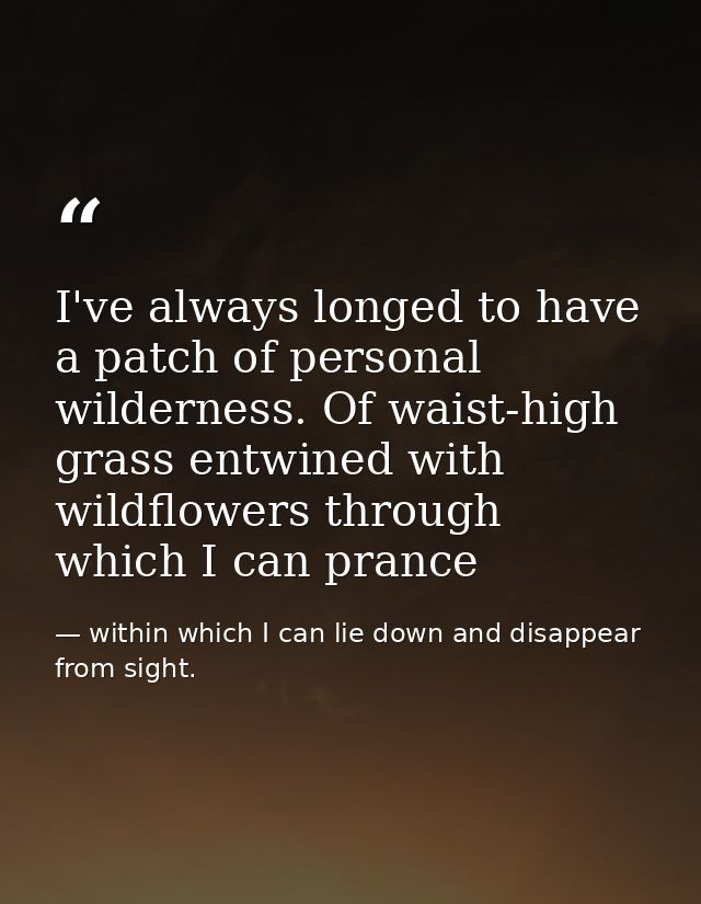 I've always longed to have a patch of personal wilderness. Of waist-high grass entwined with wildflowers through which I — within which I can lie down and disappear from sight.