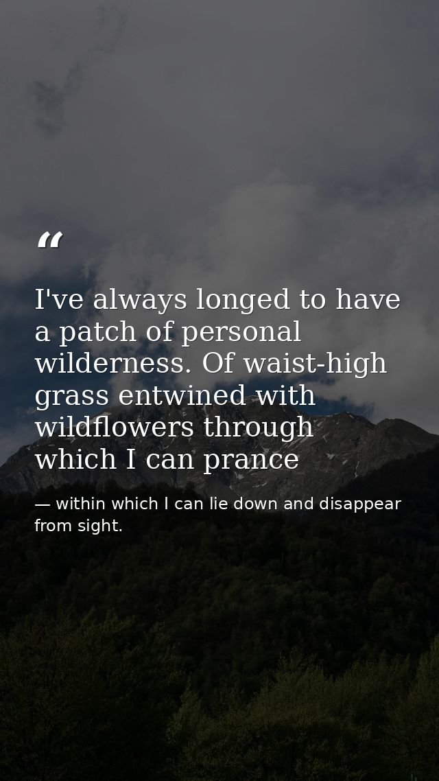 I've always longed to have a patch of personal wilderness. Of waist-high grass entwined with wildflowers through which I — within which I can lie down and disappear from sight.