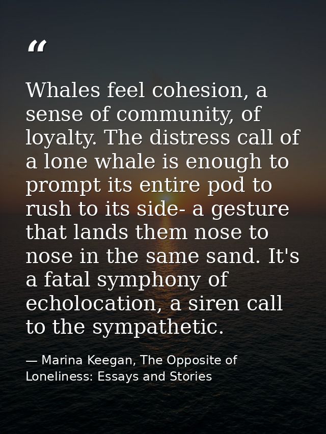 Whales feel cohesion, a sense of community, of loyalty. The distress call of a lone whale is enough to prompt its entire — Marina Keegan, The Opposite of Loneliness: Essays and Stories