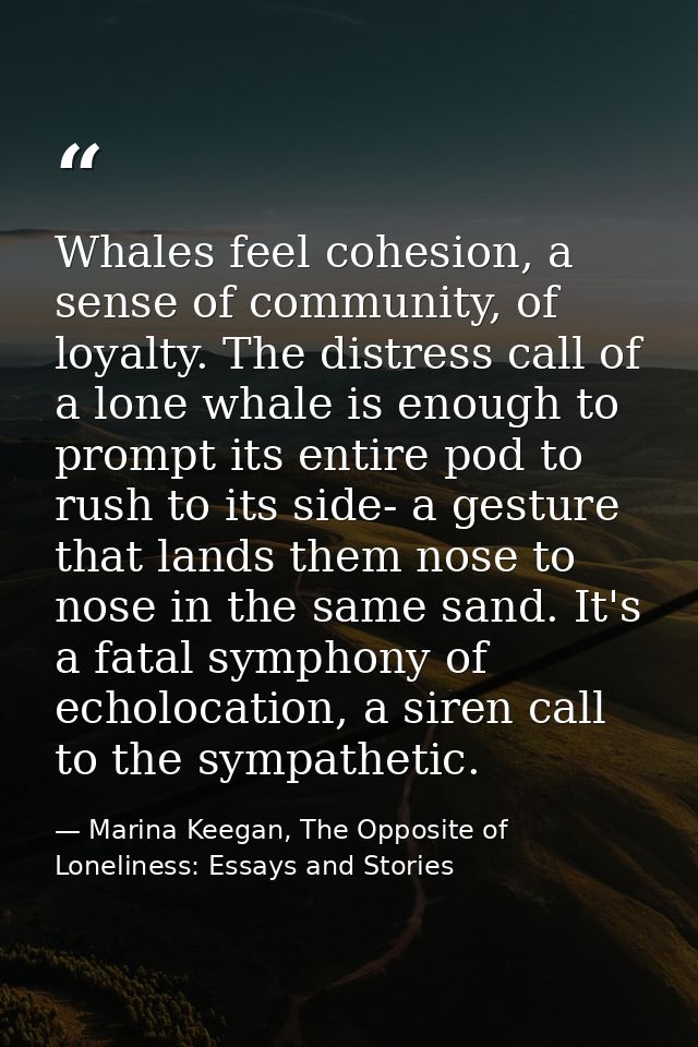 Whales feel cohesion, a sense of community, of loyalty. The distress call of a lone whale is enough to prompt its entire — Marina Keegan, The Opposite of Loneliness: Essays and Stories