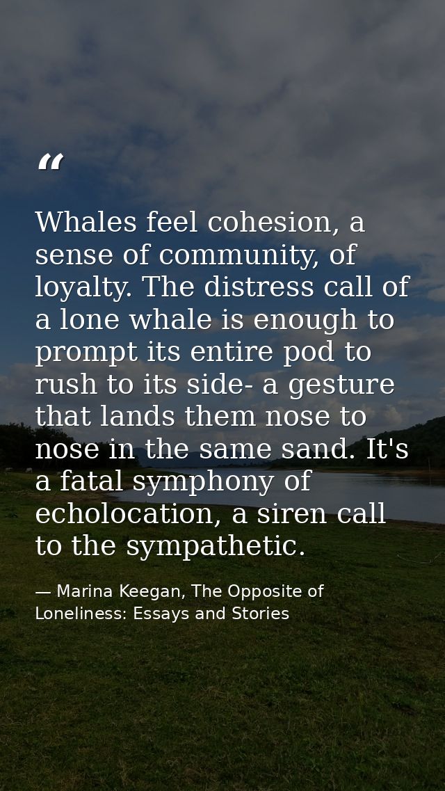 Whales feel cohesion, a sense of community, of loyalty. The distress call of a lone whale is enough to prompt its entire — Marina Keegan, The Opposite of Loneliness: Essays and Stories