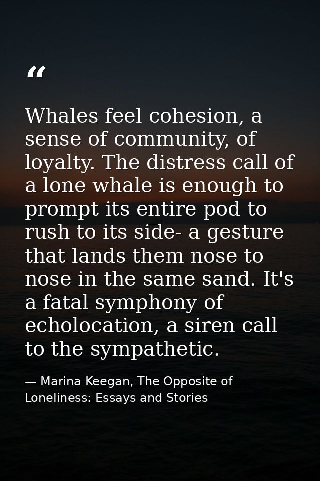 Whales feel cohesion, a sense of community, of loyalty. The distress call of a lone whale is enough to prompt its entire — Marina Keegan, The Opposite of Loneliness: Essays and Stories