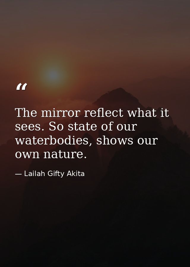 The mirror reflect what it sees. So state of our waterbodies, shows our own nature. — Lailah Gifty Akita