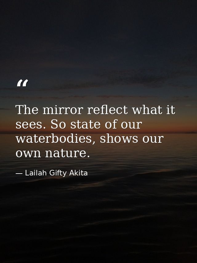 The mirror reflect what it sees. So state of our waterbodies, shows our own nature. — Lailah Gifty Akita