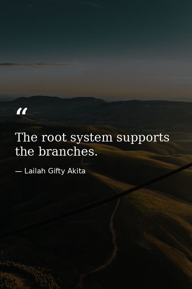 The root system supports the branches. — Lailah Gifty Akita
