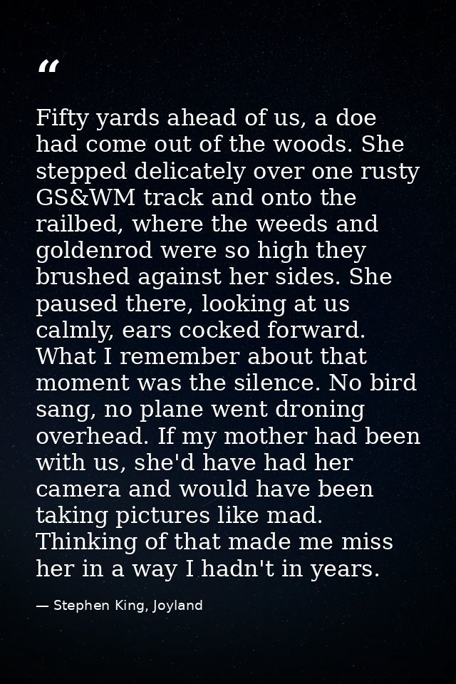 Fifty yards ahead of us, a doe had come out of the woods. She stepped delicately over one rusty GS&WM track and onto the — Stephen King, Joyland