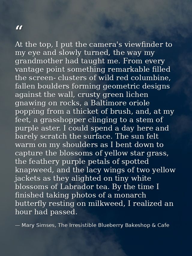 At the top, I put the camera's viewfinder to my eye and slowly turned, the way my grandmother had taught me. From every  — Mary Simses, The Irresistible Blueberry Bakeshop & Cafe