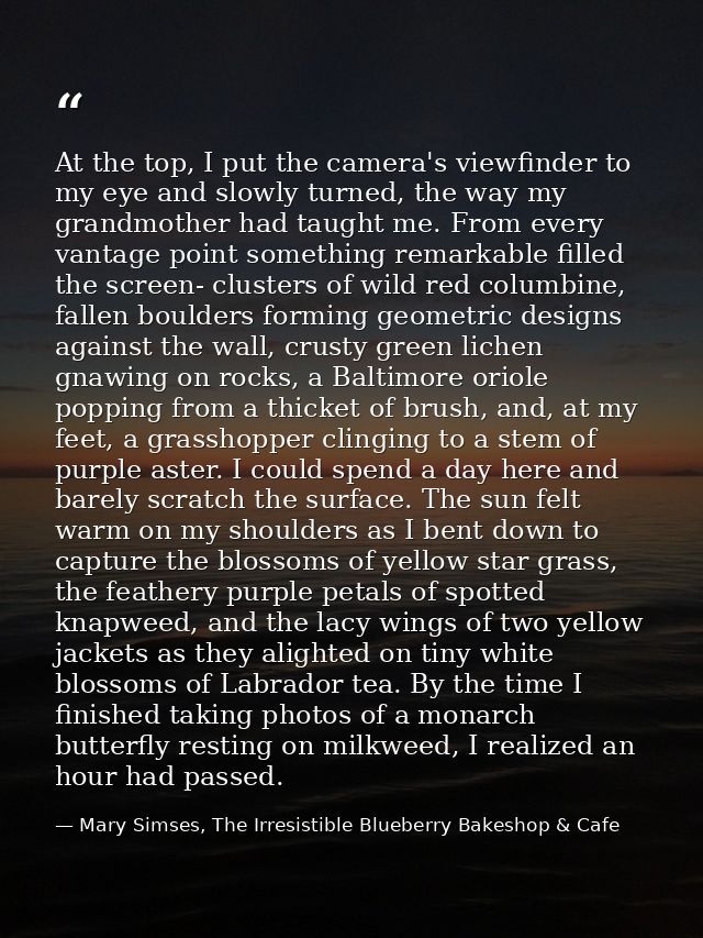 At the top, I put the camera's viewfinder to my eye and slowly turned, the way my grandmother had taught me. From every  — Mary Simses, The Irresistible Blueberry Bakeshop & Cafe