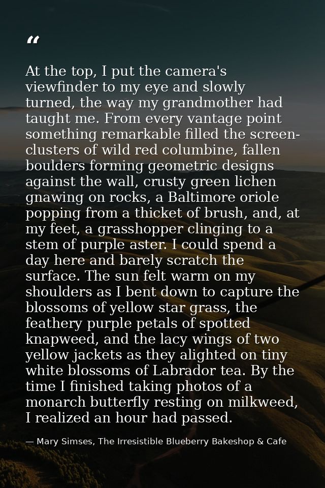 At the top, I put the camera's viewfinder to my eye and slowly turned, the way my grandmother had taught me. From every  — Mary Simses, The Irresistible Blueberry Bakeshop & Cafe