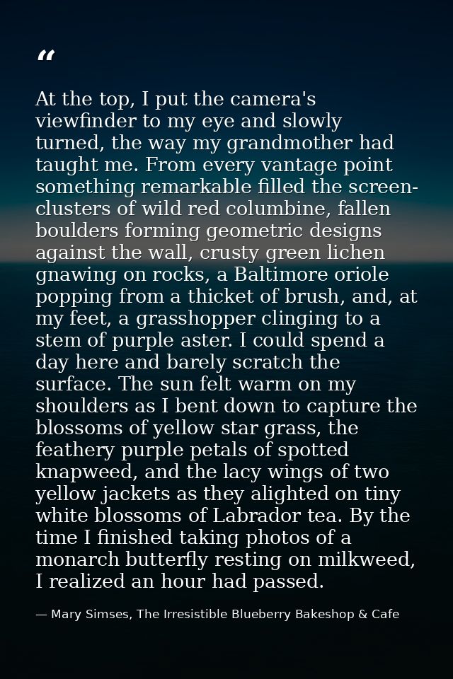 At the top, I put the camera's viewfinder to my eye and slowly turned, the way my grandmother had taught me. From every  — Mary Simses, The Irresistible Blueberry Bakeshop & Cafe