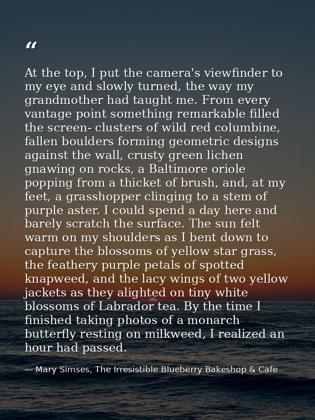 At the top, I put the camera's viewfinder to my eye and slowly turned, the way my grandmother had taught me. From every  — Mary Simses, The Irresistible Blueberry Bakeshop & Cafe