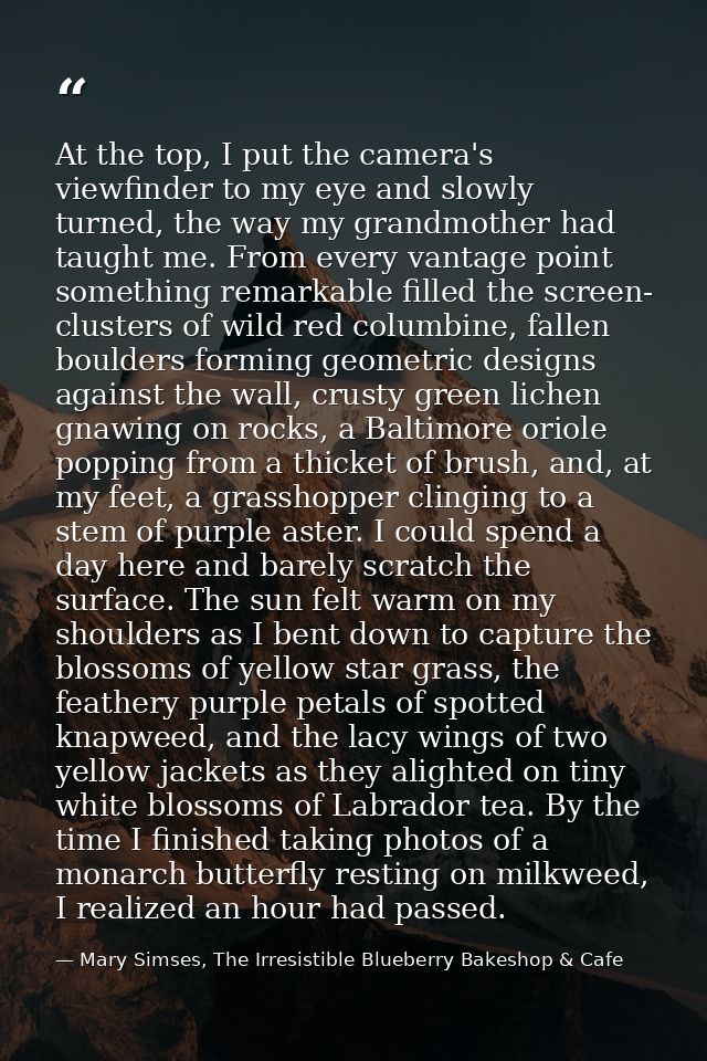 At the top, I put the camera's viewfinder to my eye and slowly turned, the way my grandmother had taught me. From every  — Mary Simses, The Irresistible Blueberry Bakeshop & Cafe