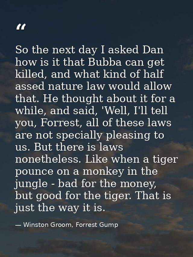 So the next day I asked Dan how is it that Bubba can get killed, and what kind of half assed nature law would allow that — Winston Groom, Forrest Gump