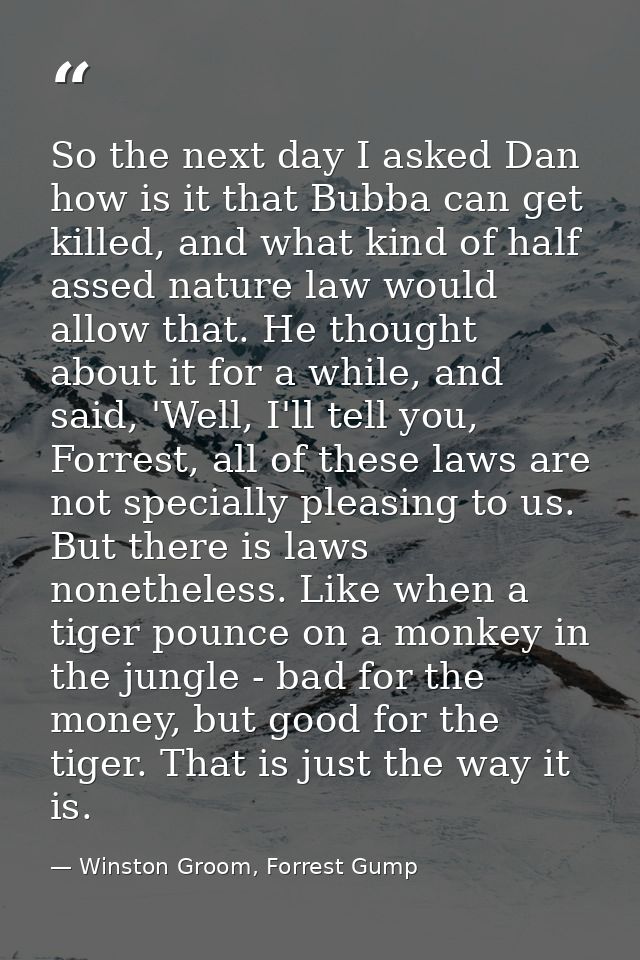 So the next day I asked Dan how is it that Bubba can get killed, and what kind of half assed nature law would allow that — Winston Groom, Forrest Gump
