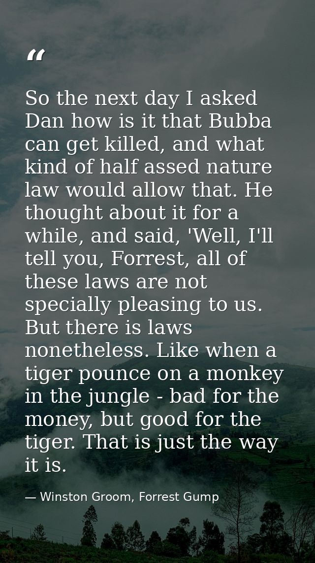 So the next day I asked Dan how is it that Bubba can get killed, and what kind of half assed nature law would allow that — Winston Groom, Forrest Gump