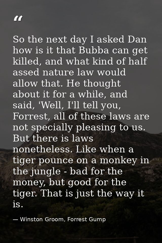 So the next day I asked Dan how is it that Bubba can get killed, and what kind of half assed nature law would allow that — Winston Groom, Forrest Gump