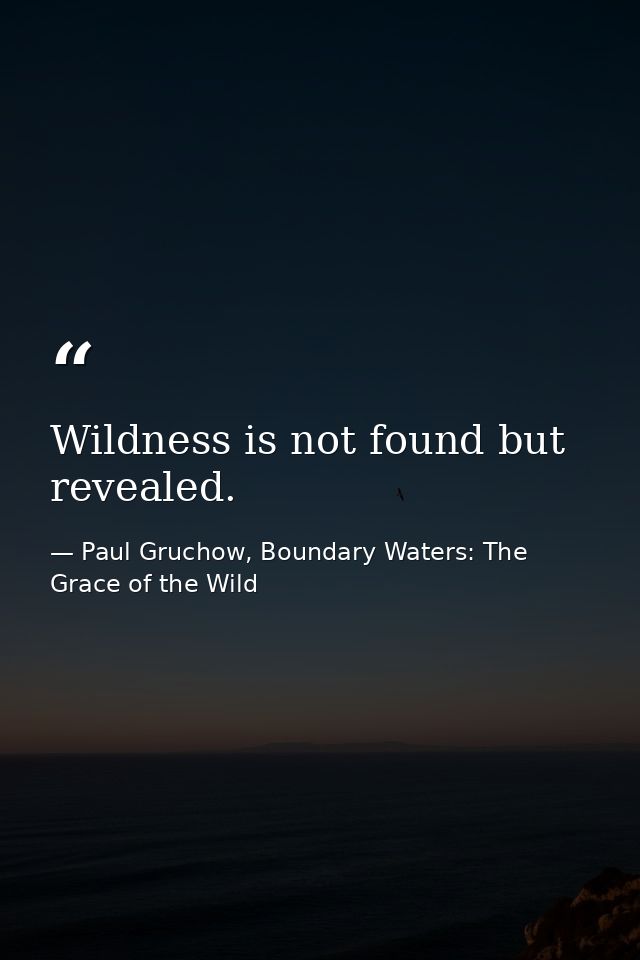 Wildness is not found but revealed. — Paul Gruchow, Boundary Waters: The Grace of the Wild