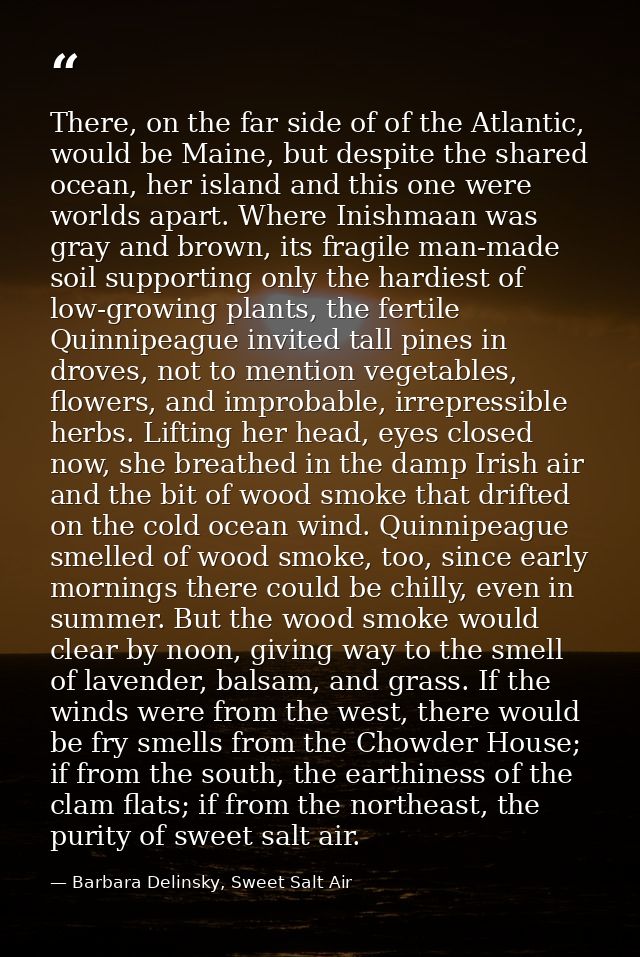 There, on the far side of of the Atlantic, would be Maine, but despite the shared ocean, her island and this one were wo — Barbara Delinsky, Sweet Salt Air