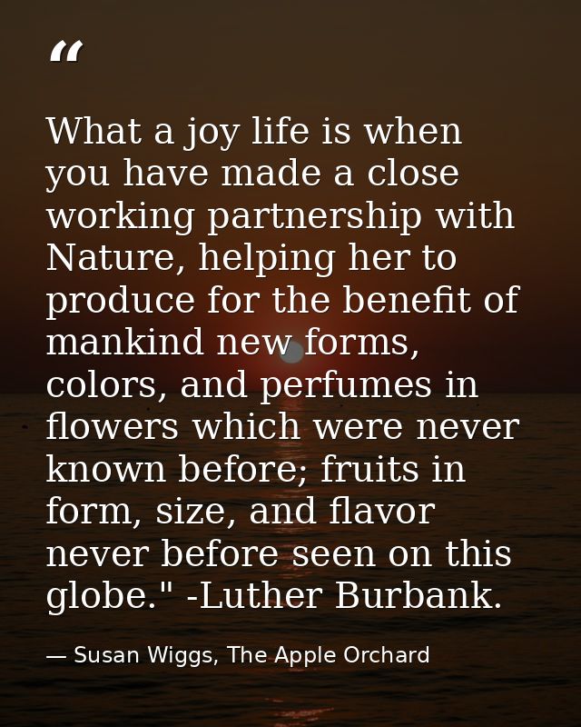 What a joy life is when you have made a close working partnership with Nature, helping her to produce for the benefit of — Susan Wiggs, The Apple Orchard
