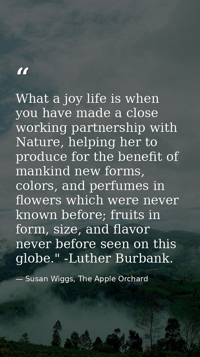 What a joy life is when you have made a close working partnership with Nature, helping her to produce for the benefit of — Susan Wiggs, The Apple Orchard
