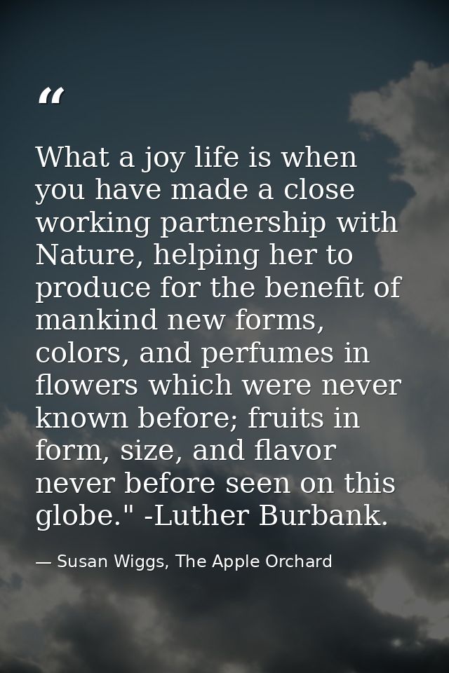 What a joy life is when you have made a close working partnership with Nature, helping her to produce for the benefit of — Susan Wiggs, The Apple Orchard