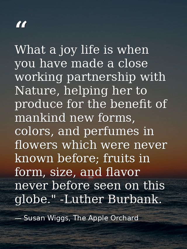 What a joy life is when you have made a close working partnership with Nature, helping her to produce for the benefit of — Susan Wiggs, The Apple Orchard