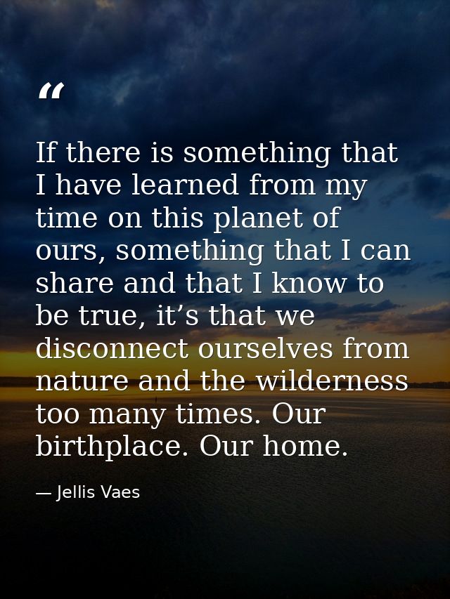 If there is something that I have learned from my time on this planet of ours, something that I can share and that I kno — Jellis Vaes