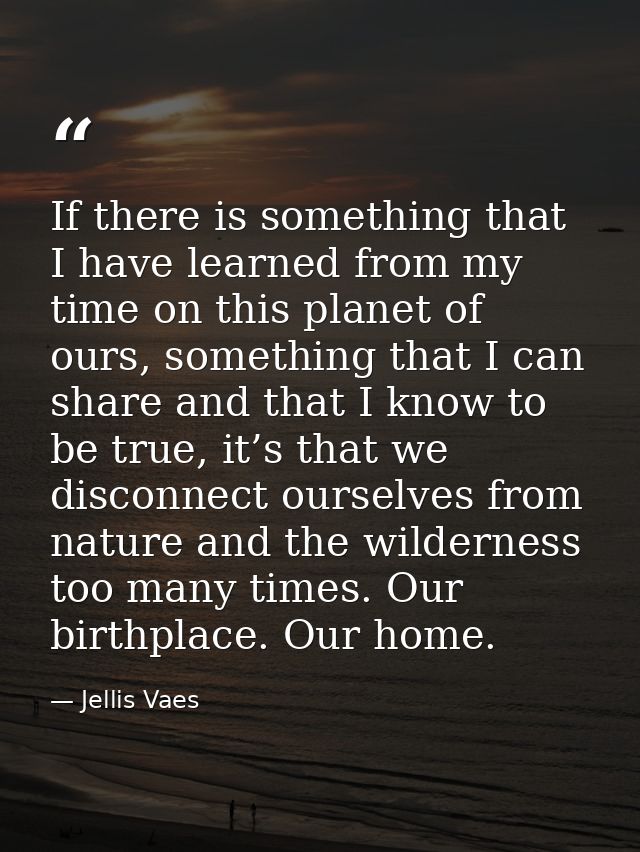 If there is something that I have learned from my time on this planet of ours, something that I can share and that I kno — Jellis Vaes