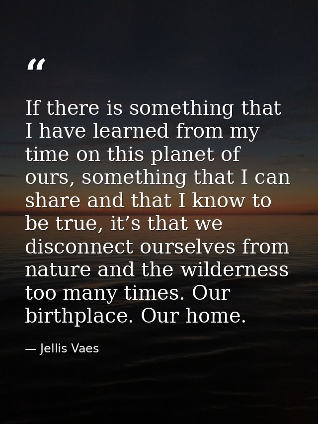 If there is something that I have learned from my time on this planet of ours, something that I can share and that I kno — Jellis Vaes