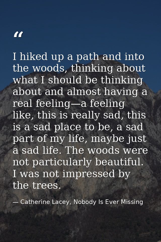 I hiked up a path and into the woods, thinking about what I should be thinking about and almost having a real feeling—a  — Catherine Lacey, Nobody Is Ever Missing