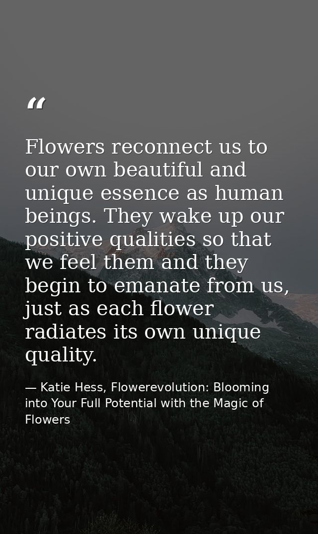 Flowers reconnect us to our own beautiful and unique essence as human beings. They wake up our positive qualities so tha — Katie Hess, Flowerevolution: Blooming into Your Full Potential with the Magic of Flowers