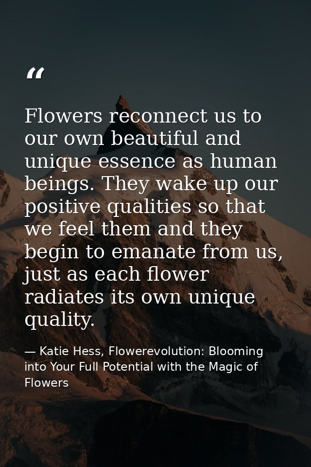 Flowers reconnect us to our own beautiful and unique essence as human beings. They wake up our positive qualities so tha — Katie Hess, Flowerevolution: Blooming into Your Full Potential with the Magic of Flowers