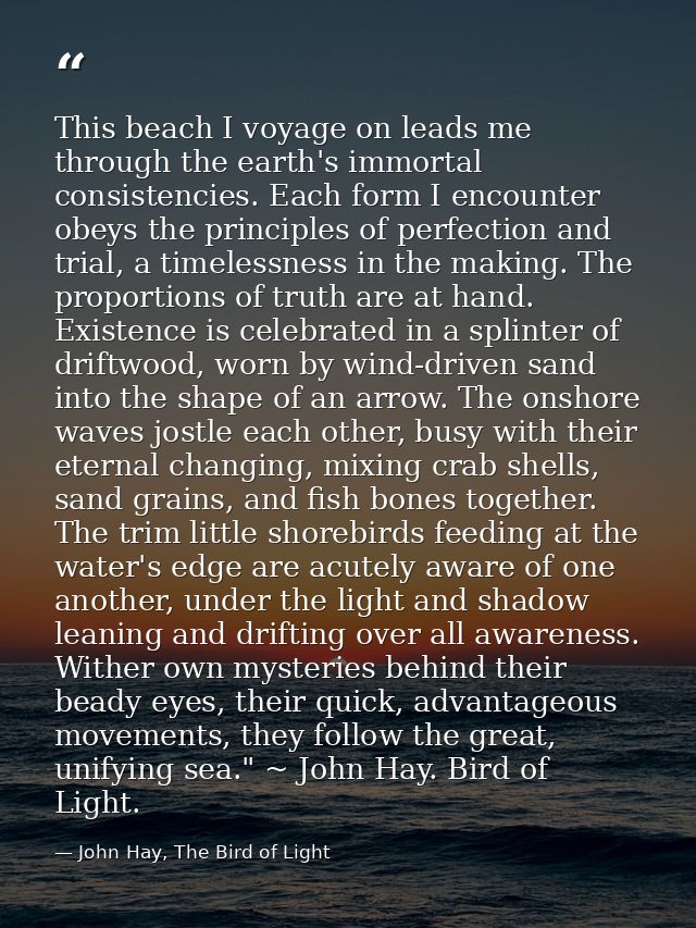 This beach I voyage on leads me through the earth's immortal consistencies. Each form I encounter obeys the principles o — John Hay, The Bird of Light