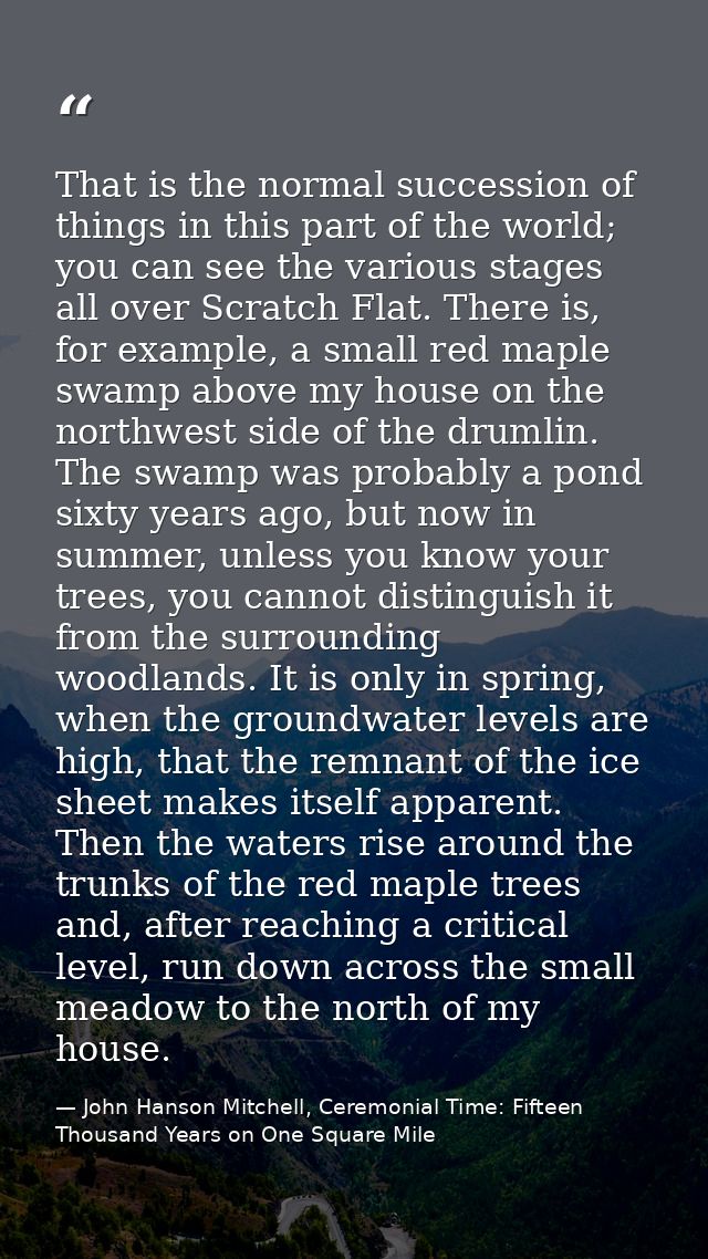 That is the normal succession of things in this part of the world; you can see the various stages all over Scratch Flat. — John Hanson Mitchell, Ceremonial Time: Fifteen Thousand Years on One Square Mile